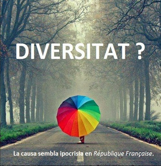 Diversitat ipocrisica francesa