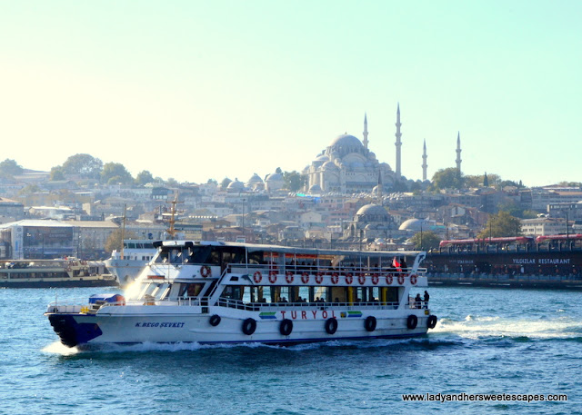 the Old City's picturesque skyline Istanbul Turkey