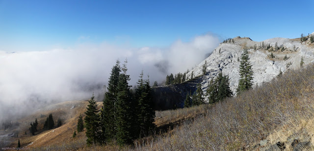 low peak of white top