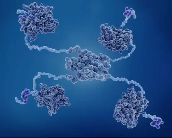 Unlocking Genetic Protection: Stimulating Tumor Suppressor Genes