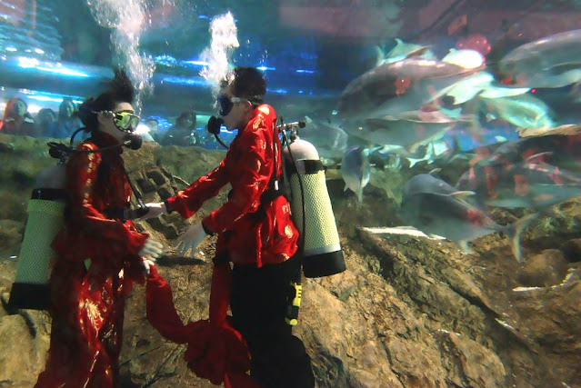 Fabulous Underwater Wedding Photographs