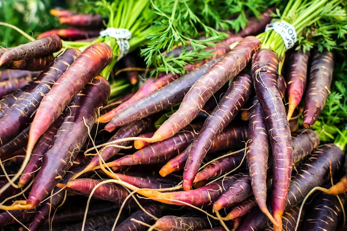 5 Benefits of Purple Carrots