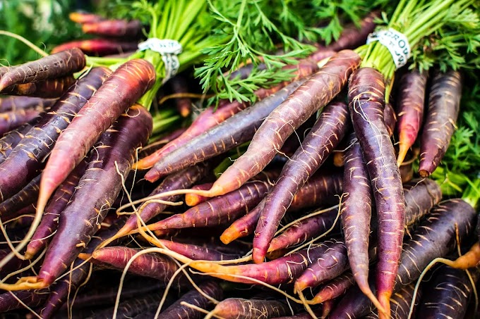 5 Benefits of Purple Carrots