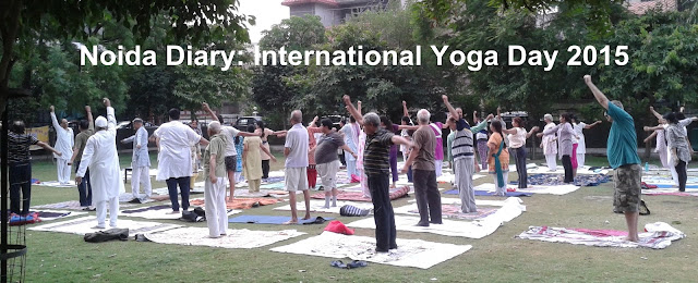 5-Day Yoga Camp at Sector 31 Park, Noida