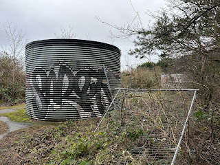 A photo showing a large metal container sitting on a flat area of land that is now overgrown with scrubby plants.  On the right hand side sits lies a discarded block of a portable fencing barrier.   Photo by Kevin Nosferatu for the Skulferatu Project.