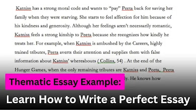 Thematic-Essay-Example