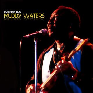 I'm Your Hoochie Coochie Man  by Muddy Waters (1954)