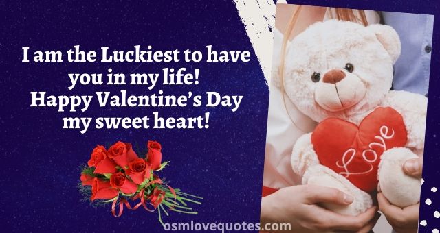 Happy Valentine’s Day Messages For Lovers, Friend, Wife, Husband