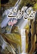 zindagi gulzar hai pdf