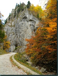 DSCN8451