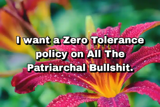 "I want a Zero Tolerance policy on All The Patriarchal Bullshit." ~ Caitlin Moran