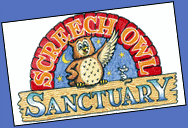 owllogo