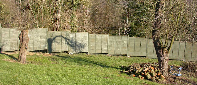 Panel fencing painted in Old English green.