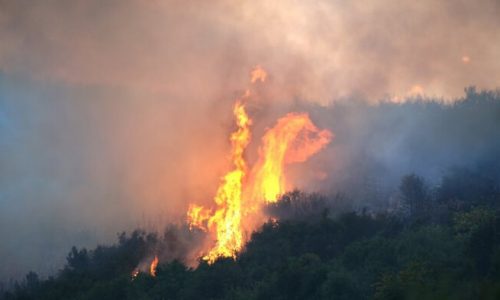 Στο ελληνικό έδαφος, στην περιοχή Λημέρι Φιλιατών, εισήλθε από νωρίς το μεσημέρι η φωτιά που κατέκαιγε εκτάσεις στην πλευρά της Αλβανίας.