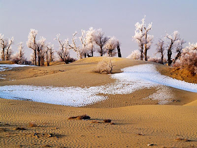 snow in a desert