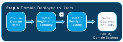 Step 4 : Domain Deployed to Users