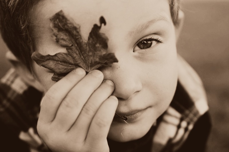 leaf