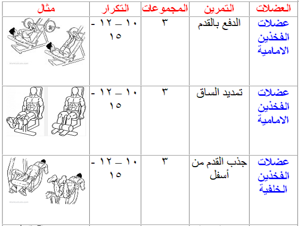 برنامج تدريب جيم للمبتدئين