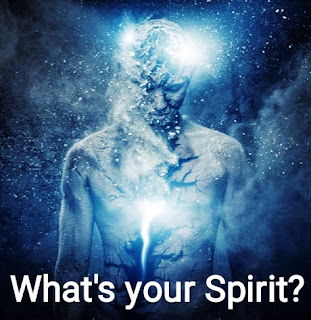 What is your Spirit?