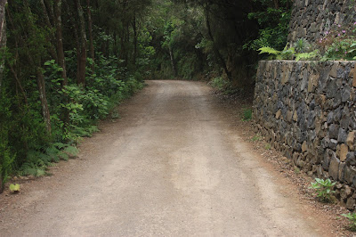 CRUZ DEL CARMEN - EL BATÁN -  CRUZ DEL CARMEN PR-TF-10 + PR-TF-11 + PR-TF-12, Pista de las Hiedras