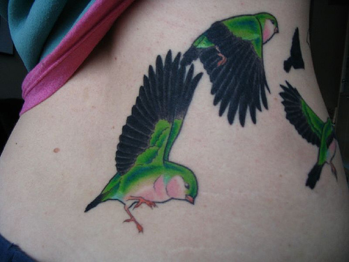 Bird Tattoos For Girls