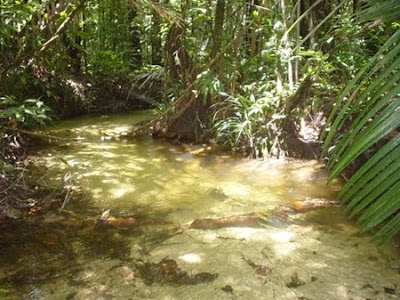 Estação Ecológica de Iquê | Mato Grosso