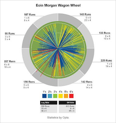 Eoin Morgan wagon wheel.