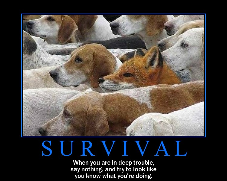 funny motivational. Inspiring Picture 13: Survival