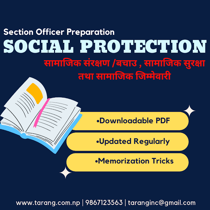 Social Protection / Protection, Social Security and Social Responsibility