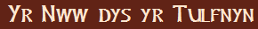 Yr Nww dys yr Tulfnyn
