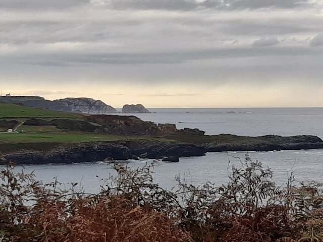 Cabo Peñas y Punta Palleya