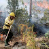 EN INICIO DE TEMPORADA ALTA DE INCENDIOS FORESTALES, LA REPÚBLICA DOMINICANA INCREMENTA MEDIDAS PREVENTIVAS PROTECCIÓN DE LOS BOSQUES 