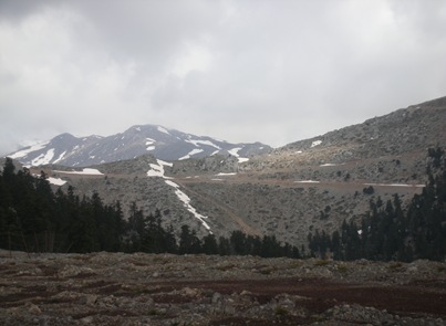 Γκιώνα  8-4-2010 077