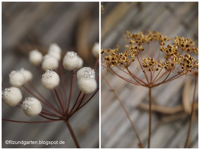 Wiesenbärenklau mit Filzperlen