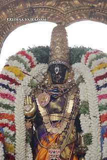 Ammavasai,Vaigasi, Purappadu,Video, Divya Prabhandam,Sri Parthasarathy Perumal, Triplicane,Thiruvallikeni,Utsavam,