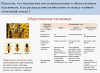 Пчеловодство и биологические особенности пчел.