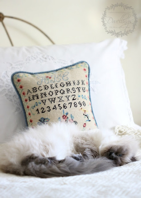 Bella, our Himalayan kitty and sampler pillow