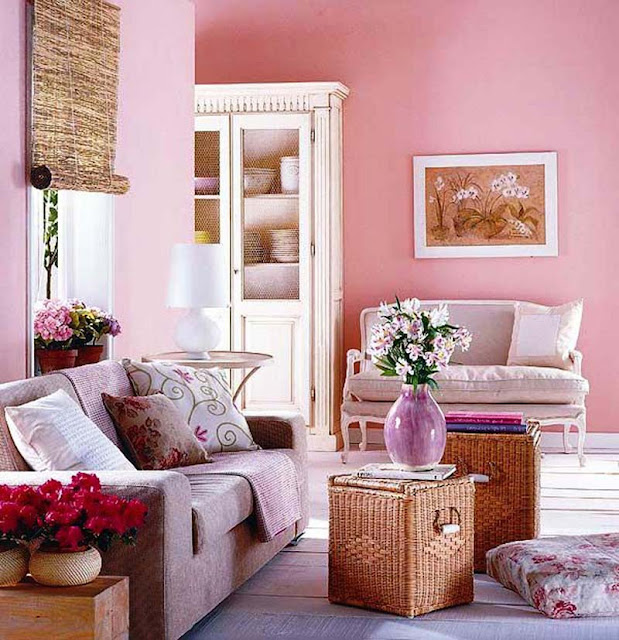 Pink Living Room Design Ideas photo