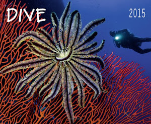 Dive 2015