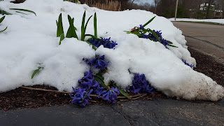 Thursday morning still snow covered