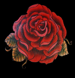 Rose-of-Jericho