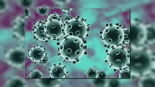 CORONA-VIRUS