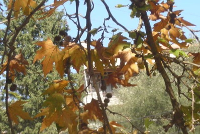Εκλογές κλπ 015