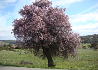 DSC06141