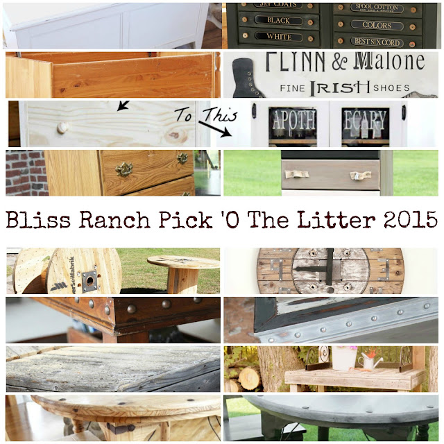 2015 Project Before and Afters, Bliss-Ranch.com