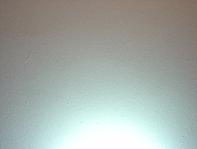 DSC00948