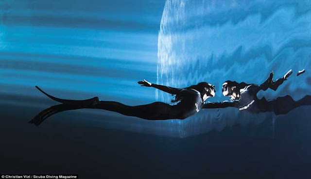 PEMENANG KONTES BAWAH AIR 2018 versi SCUBA DIVING MAGAZINE