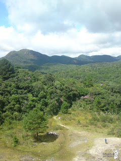 Pão de Loth (Minhocas da Terra)