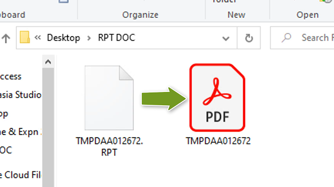 Convert RPT RPF file to PDF