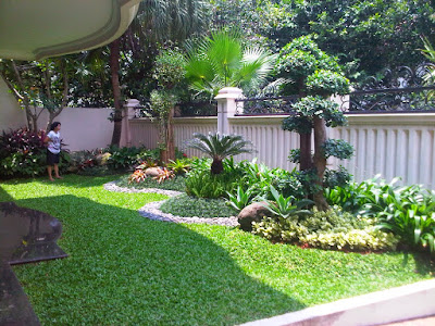 taman rumah minimalis dengan tanaman besar